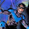 Nightwing paint by numbers