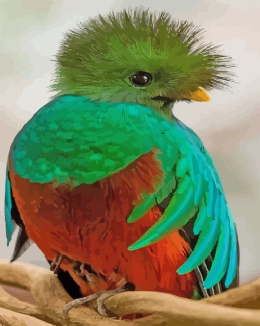 Orange And Green Quetzal Bird paint by numbers