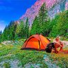 Beautiful Outdoor Camping paint by numbers