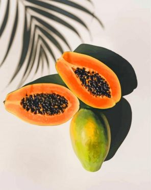 Papaya Fruit paint by numbers
