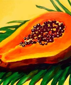 Papaya paint by number