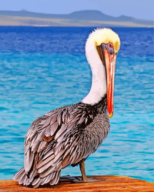 Pelican Animal Bird paint by numbers