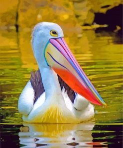 Pelican Elegant Bird paint by numbers