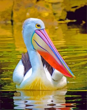 Pelican Elegant Bird paint by numbers
