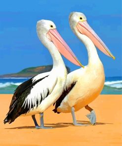 Two Pelicans paint by numbers