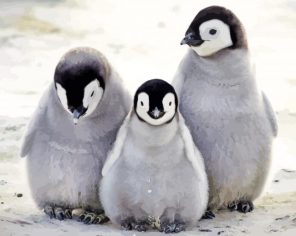 Penguin Family Black And White Portrait paint by numbers
