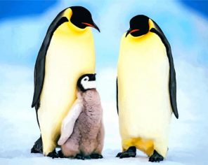 Penguin Family Portrait paint by numbers