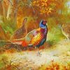 Pheasant Birds paint by numbers