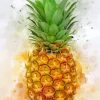 Pineapple Fruit paint by numbers