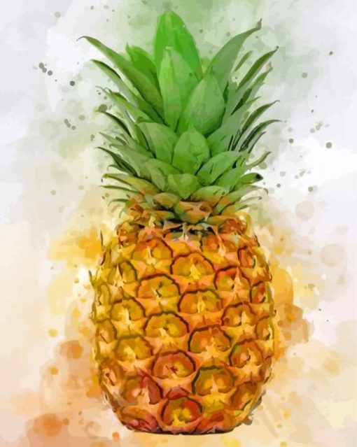 Pineapple Fruit paint by numbers