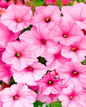 Aesthetic Pink Petunias Flowers paint by numbers