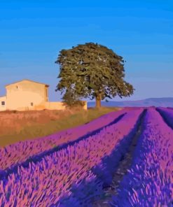 Provence Lavender France paint by numbers