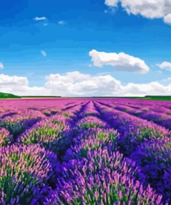 Provence Lavender paint by numbers