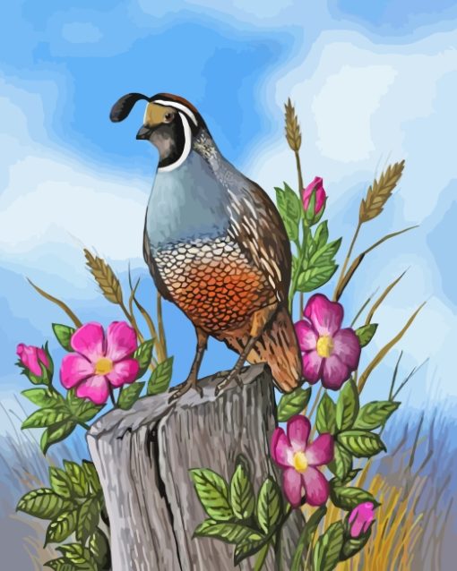 Quail And Flowers paint by numbers