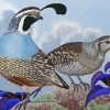 Quail Birds paint by numbers