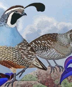 Quail Birds paint by numbers