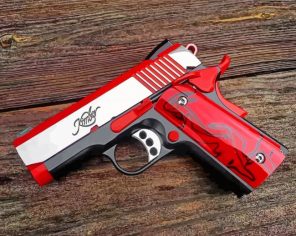 Red Pistol paint by numbers