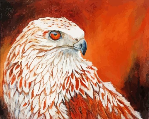 Red-tailed Hawk Bird paint by numbers