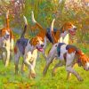 Scent Hound Dogs Runing In The Forest -paint-by-number