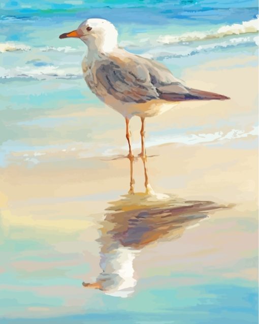 Seagull Bird paint by number