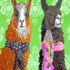 Stylish Brown And Black Alpacas Llamas paint by numbers