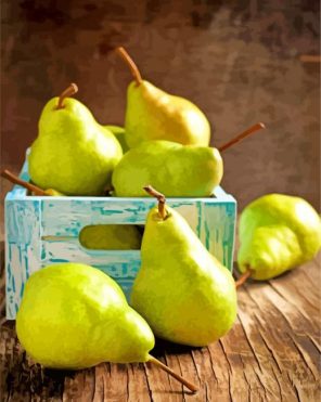 Vintage Pears paint by numbers