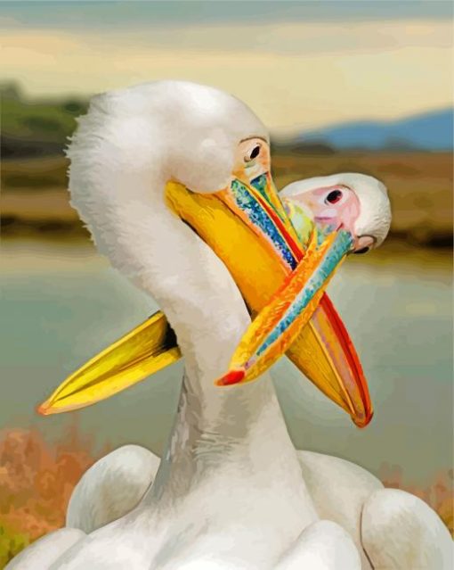 Two White Pelicans paint by numbers