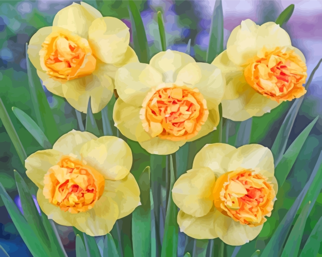 Yellow Daffodil Flowers paint by numbers