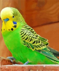 Yellow And Green Parakeet Bird paint by numbers