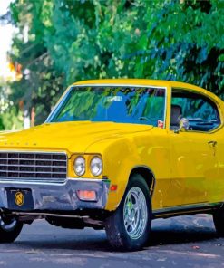Yellow Buick Skylark Car paint by numbers