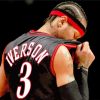 American Former Professional Iverson paint by numbers