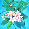 Birds On Frangipani Flowers paint by numbers