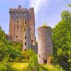 Blarney Castle And Gardens Ireland paint by numbers