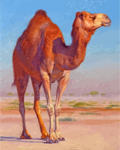Camel In Desert paint by numbers