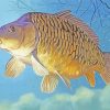 Carp Fish Art paint by numbers