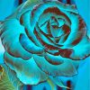Fantasy Blue Rose paint by numbers
