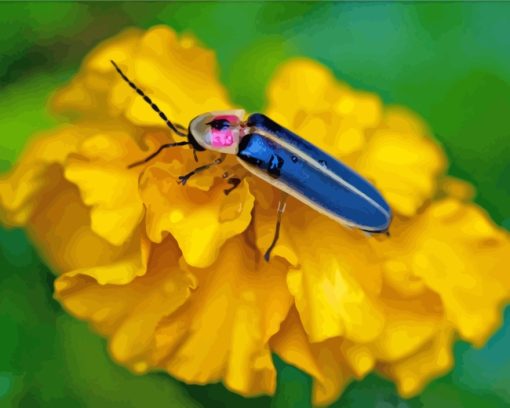 Firefly On Flower paint by numbers
