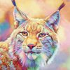 Geometric Colourful Bobcat paint by numbers