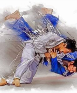 Judoka Fighters paint by numbers