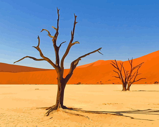 Kalahari Desert paint by numbers