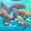 Manatee And Fish In The Sea paint by numbers