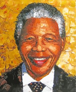 Nelson Mandela Art paint by numbers