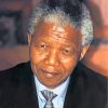 Nelson Mandela paint by numbers paint by numbers