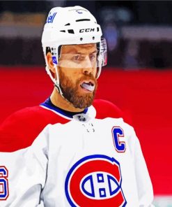 Shea Weber Habs paint by numbers