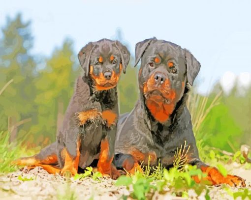 The Rottweiler Dogs paint by numbers