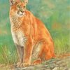 Wild Cougar Cat paint by numbers