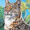 Wild Bobcat Art paint by numbers