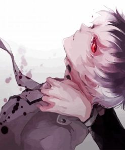 Aesthetic Haise paint by numbers