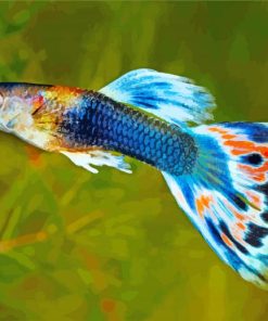 Blue Guppy Fish paint by numbers
