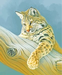 Bobcat On Tree paint by numbers